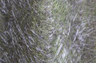 Romsey fibreglass roof work